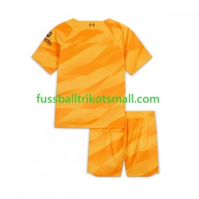 Fußballtrikots Liverpool Torwart Kinder 2023-2024 Kurzarm 3rd trikot kaufen